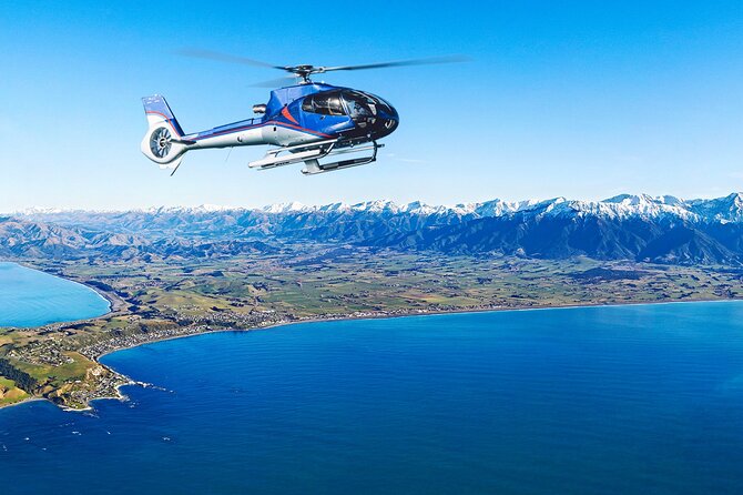 Kaikoura Helicopters Top n Tail Whale Watch flight - Price and Value: Is $415.78 Worth It?