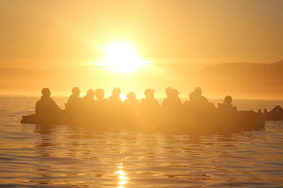 Kaikōura: Kayak Sunset Tour with Seal Sightings - Key things to look for before you go