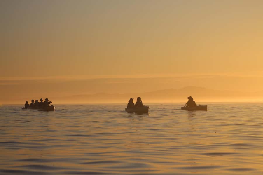 Kaikōura: Kayak Sunset Tour with Seal Sightings - The safety briefing that makes wildlife spotting easier