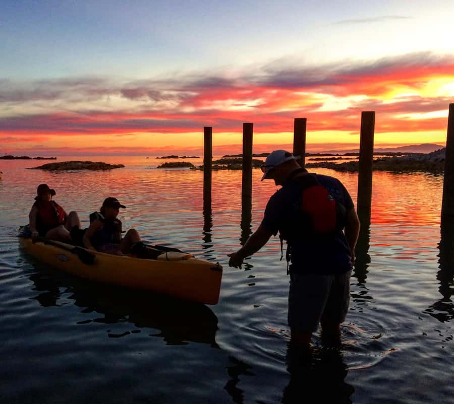 Kaikōura: Kayak Sunset Tour with Seal Sightings - Book it or skip it: my practical recommendation