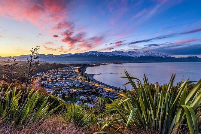 Kaikoura Private Whale Watching Day Trip from Christchurch - Food and Crayfish: How to Plan Your Meals Without Guessing