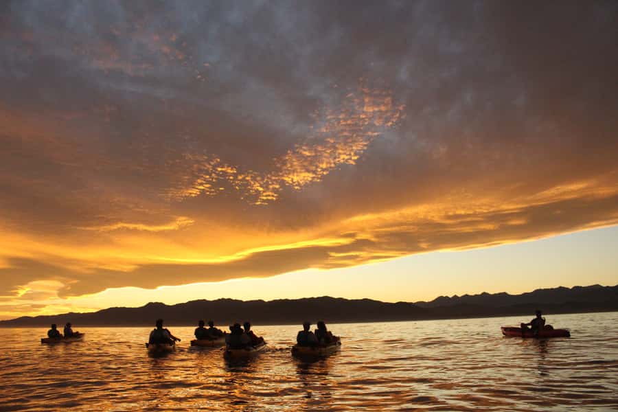 Kaikoura: Seal-Watching Pedal Kayak Tour - Price and value, why $83 feels fair for what you get