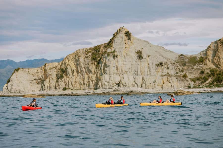 Kaikoura: Seal-Watching Pedal Kayak Tour - Who this tour suits best, and who should skip it
