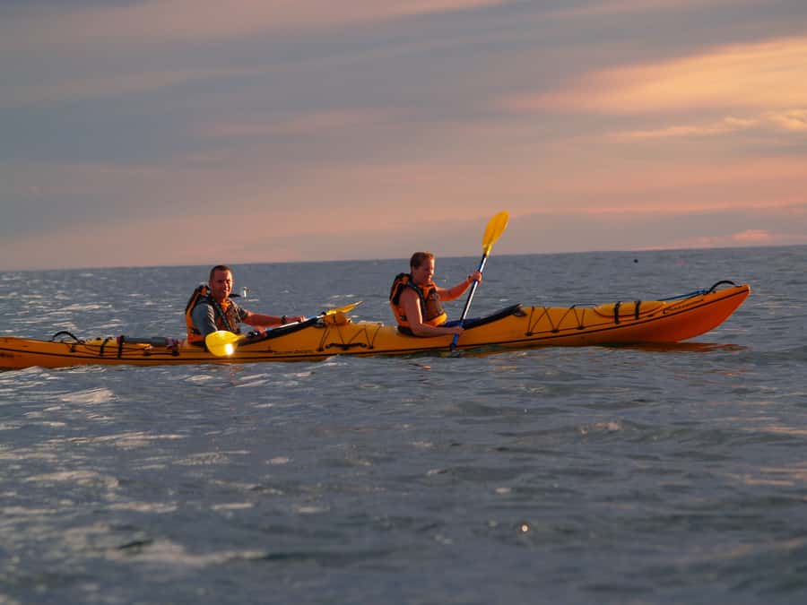 Kaikoura: Sunset Evening Kayaking Tour - Key moments that make this tour worth your time