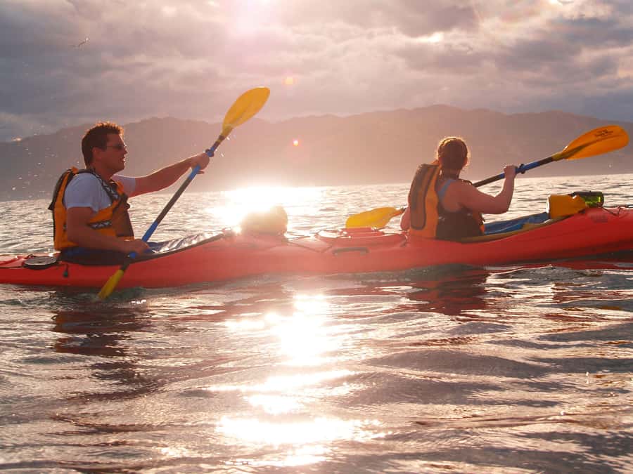 Kaikoura: Sunset Evening Kayaking Tour - How the 3-hour evening paddle actually unfolds