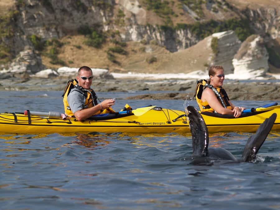 Kaikoura: Sunset Evening Kayaking Tour - Price and value: is $95 worth it for 3 hours?