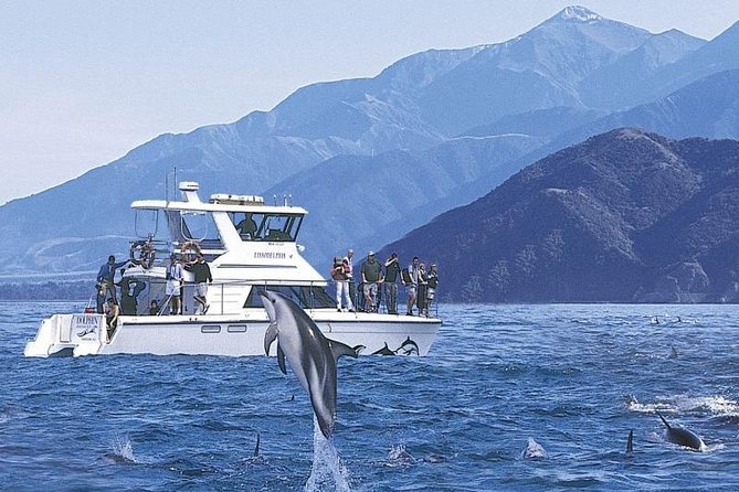 Kaikoura Swim with Dolphins Tour from Christchurch - The morning schedule, what happens before you hit the water