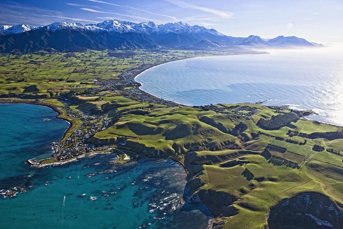 Kaikoura Whale Watch Day Tour from Christchurch - Quick Highlights