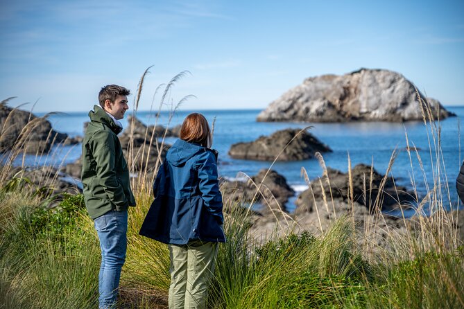 Kaikoura Whale Watch Tour from Christchurch - Small Group - When weather turns: how the team protects the day