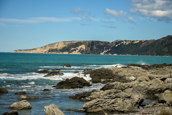 Kaikoura Whale Watch Tour from Christchurch - Small Group - Waipara Hills wine tasting: a bonus if your day has time