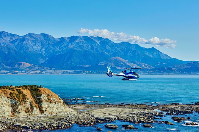 Kaikōura Whale Watching - 1hr 20min Ultimate Adventure - Key highlights to know before you go