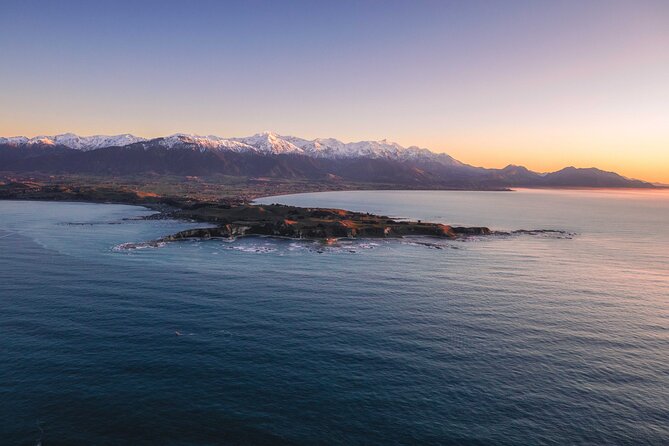Kaikōura Whale Watching - 1hr 20min Ultimate Adventure - Price of $977.40 per person: is it worth it