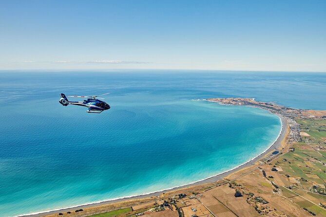 Kaikōura Whale Watching and Scenic Landing - 1hr Premier Tour - Price of $822.26 per person: what you are really paying for