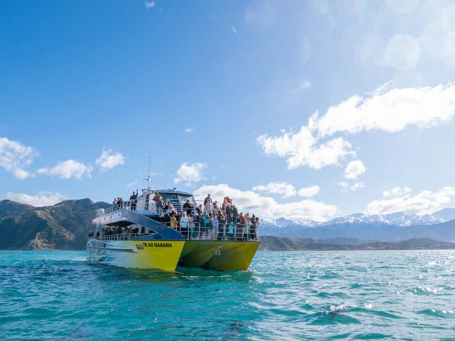 Kaikoura: Whale Watching Cruise - Key Points That Matter Before You Go