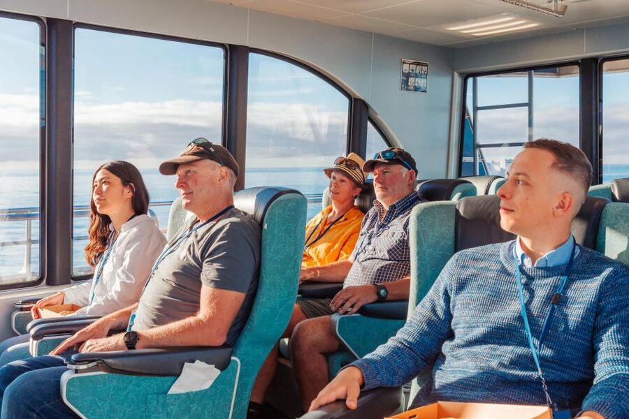 Kaikoura: Whale Watching Cruise - Wildlife Extras That Turn a Sperm Whale Cruise Into a Full-Day Memory