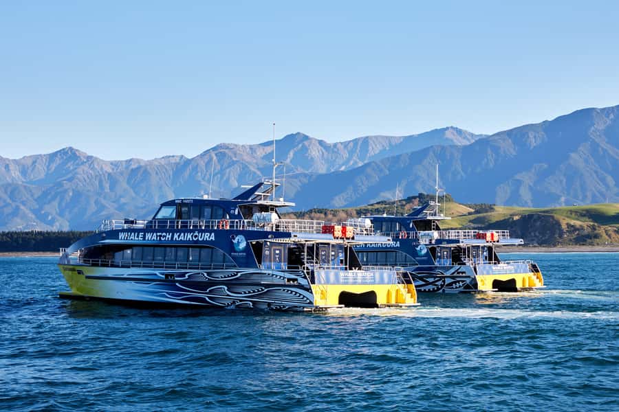 Kaikoura: Whale Watching Cruise - Weather, Seasickness, and Timing: What Can Affect Your Chance to See Whales