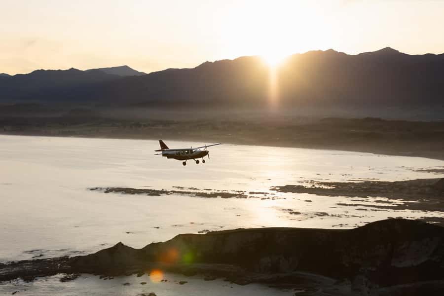 Kaikoura: Whale Watching Flight with Commentary - Key things to know before you fly over Kaikoura
