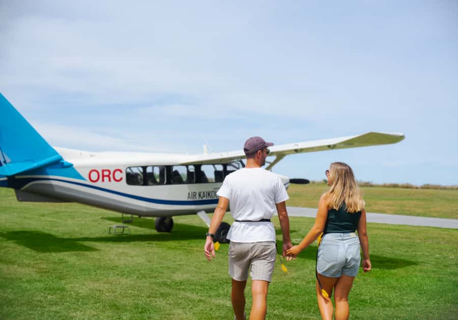 Kaikoura: Whale Watching Flight with Commentary - The 30 minutes in the sky: how whale spotting actually works