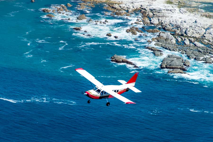 Kaikoura: Whale Watching Flight with Commentary - Value and pricing: is $131 worth it?