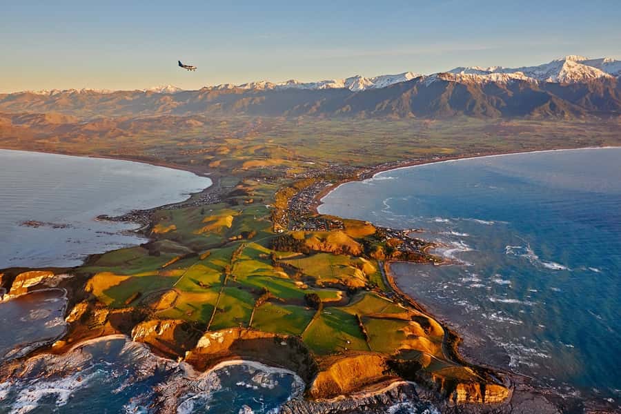 Kaikoura: Whale Watching Flight with Guided Commentary - How the Short Duration Works (and Where It Can Fall Short)