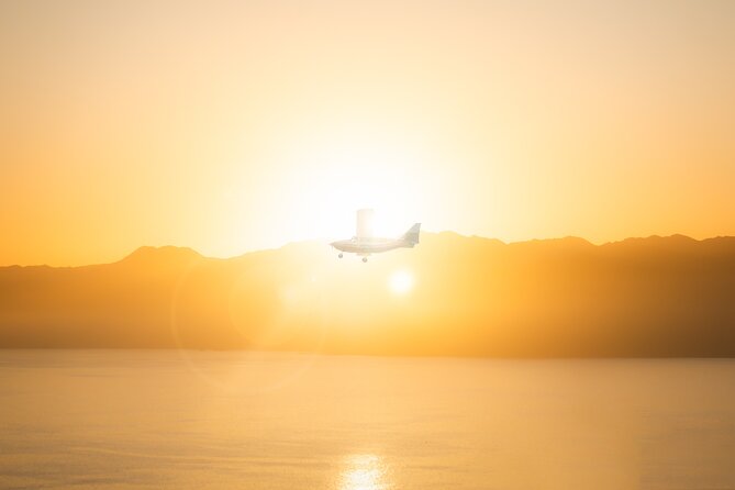 Kaikōura Whale Watching Scenic Flight (40 Minutes) - Meeting at 627 State Highway 1, and why check-in matters
