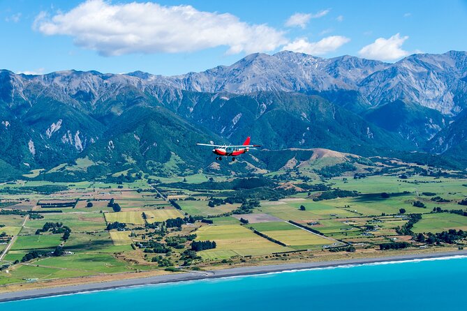 Kaikōura Whale Watching Scenic Flight (40 Minutes) - Whale sightings are not guaranteed, and that is the deal
