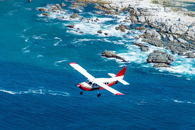 Kaikōura Whale Watching Scenic Flight (40 Minutes) - Flight length and timing: why “about 40 minutes” matters