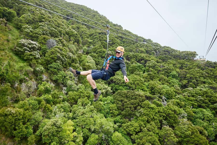 Kaikōura: Zipline and Native Forest Adventure Trip - Who should book this Kaikoura zipline trip, and who should skip