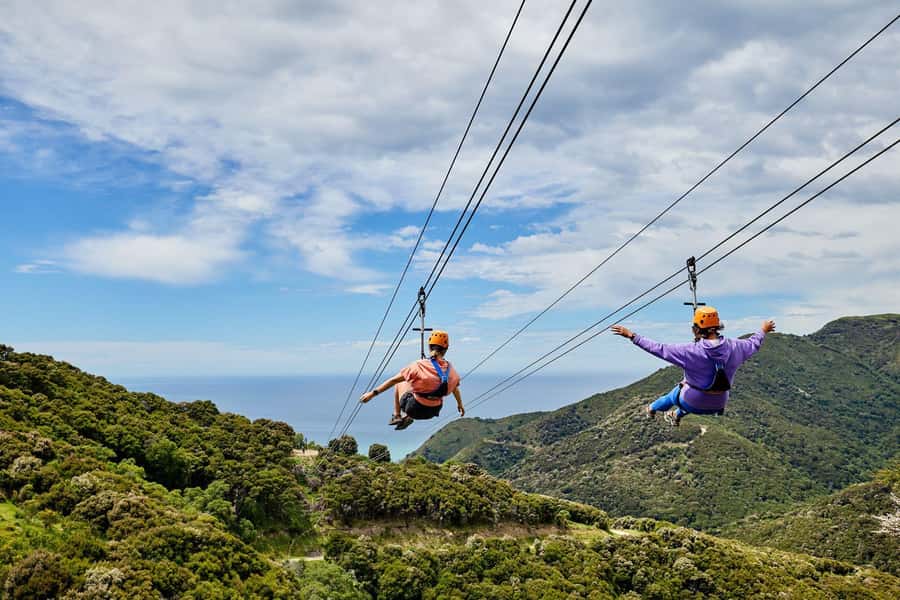 Kaikōura: Zipline and Native Forest Adventure Trip - The EcoZip Kaikoura vibe: adventure with purpose