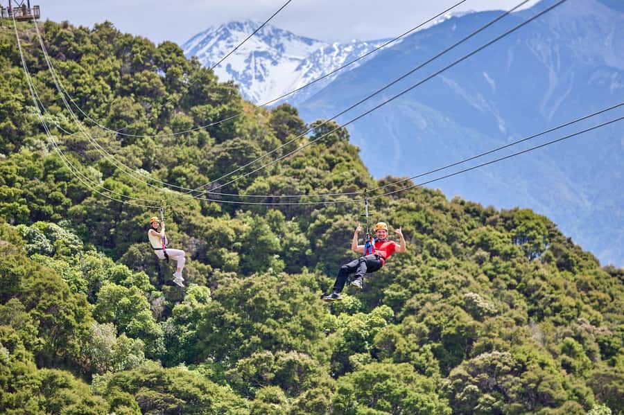 Kaikōura: Zipline and Native Forest Adventure Trip - Getting there and the morning-of flow at EcoZip HQ