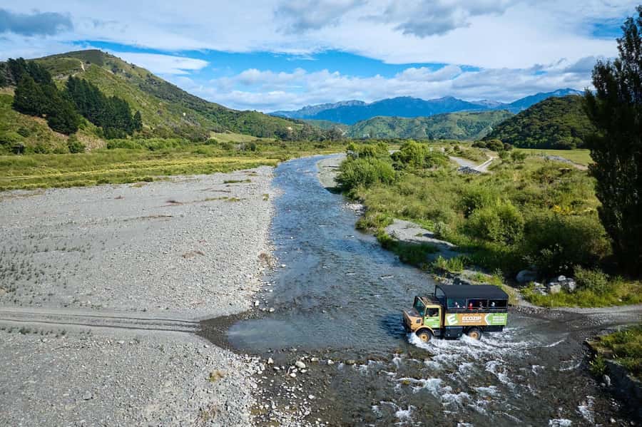 Kaikōura: Zipline and Native Forest Adventure Trip - The native forest walk: where you slow down before you fly