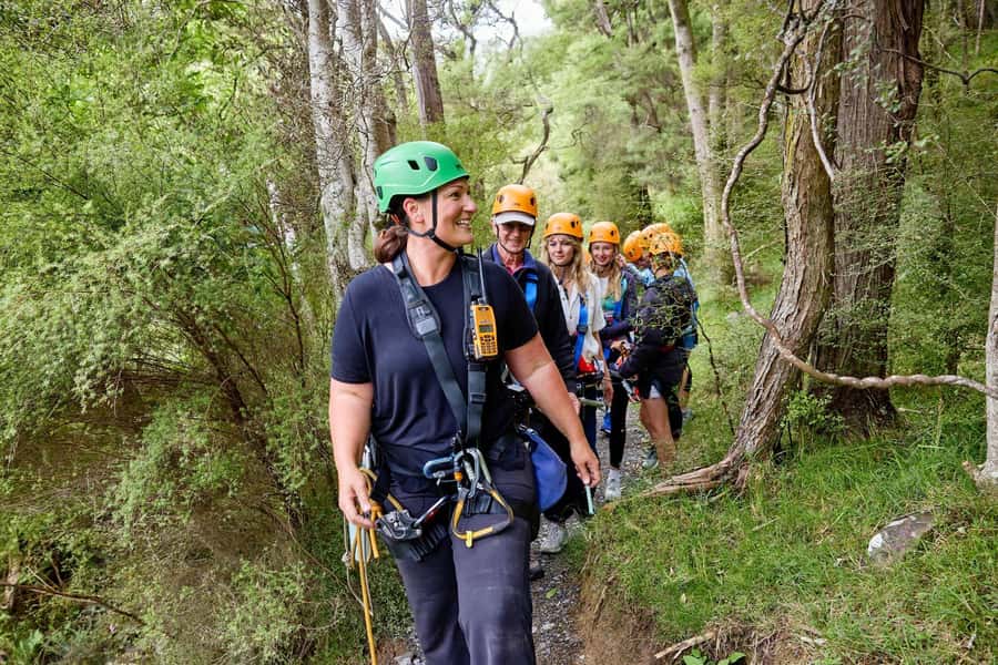 Kaikōura: Zipline and Native Forest Adventure Trip - Conservation in plain language: tree planting can be part of your afternoon