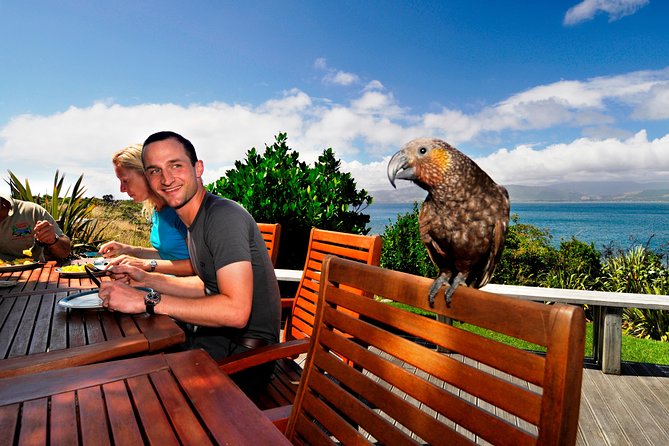 Kapiti Island Classic Guided Day Tour - Key highlights you will feel right away