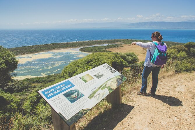 Kapiti Island Classic Guided Day Tour - Kapiti Island’s predator-free magic, explained in plain terms