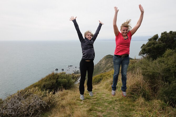 Kapiti Island: Classic Guided Day Tour - Why Kapiti Island Matters: Predator-Free Conservation You Can Actually See