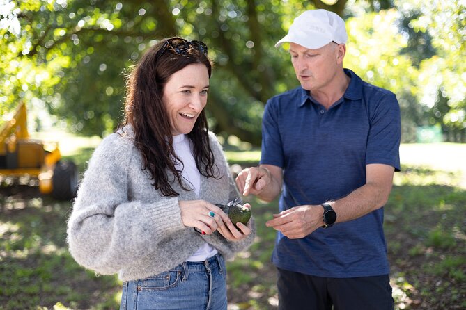 Katikati Gourmet Avocado Tasting - Entering the Orchard With Tim: Growing Lessons That Make Avocados Make Sense