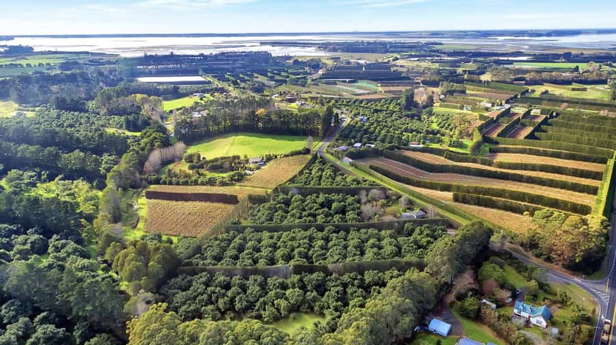 Katikati: Guided Gourmet Avocado Tour - Arriving at 9 Walker Road East and finding the orchard shed