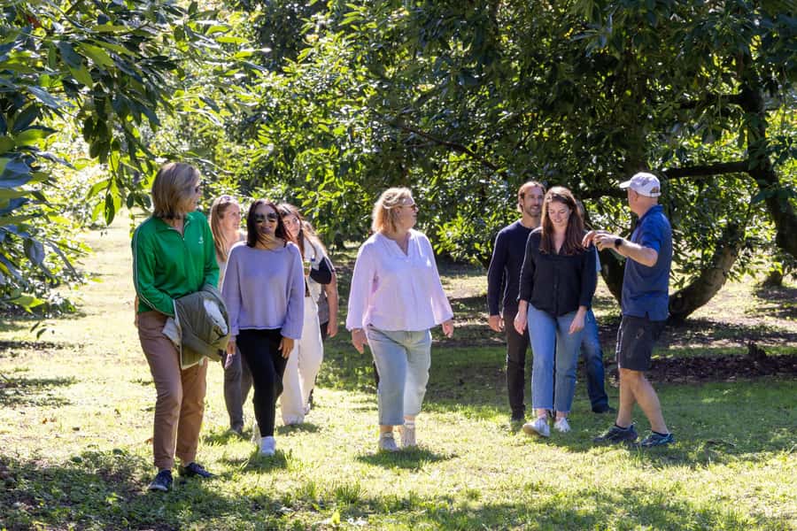 Katikati: Guided Gourmet Avocado Tour - Gourmet avocado dishes that show why the fruit is so loved
