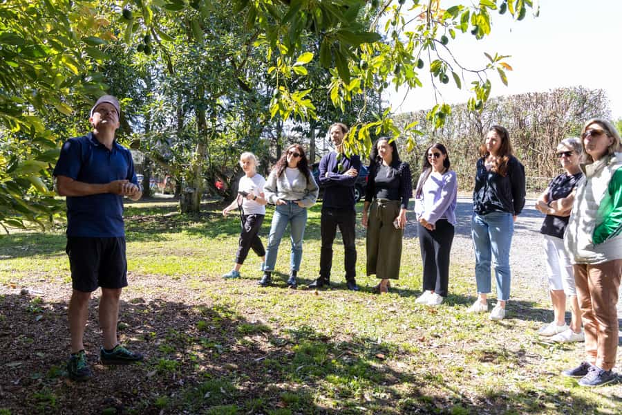 Katikati: Guided Gourmet Avocado Tour - Quick practical tips before you go