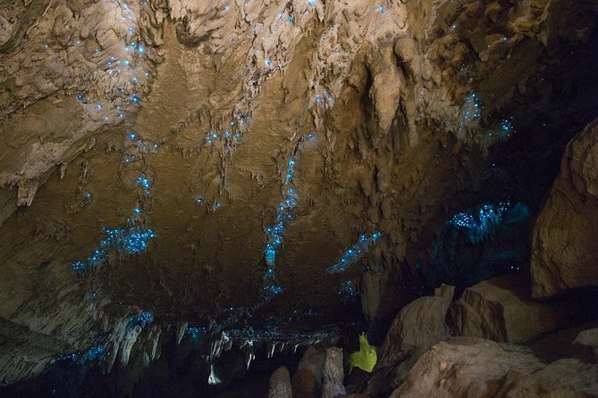 Kawiti Glow Worm Cave Tour & Opua Forest Walk - Waitangi Wharf pickup and the small-group advantage (max 11)