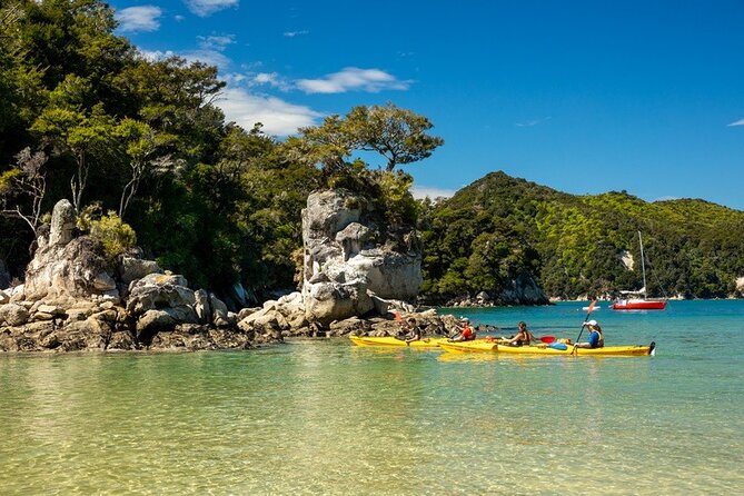 Kayak & Pitt Head Nature Loop - Guided Kayak & Unguided Walk - New Zealand - Abel Tasman kayaking meets a hike from Marahau: the timing you should know