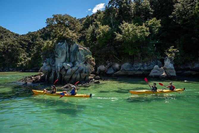 Kayak & Pitt Head Nature Loop - Guided Kayak & Unguided Walk - New Zealand - The unguided walk: beauty on foot, with fewer moving parts