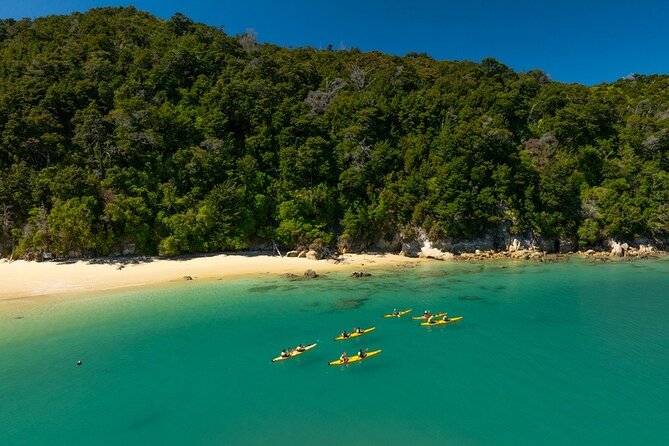 Kayak & Pitt Head Nature Loop - Guided Kayak & Unguided Walk - New Zealand - Who this trip fits best, and who should reconsider
