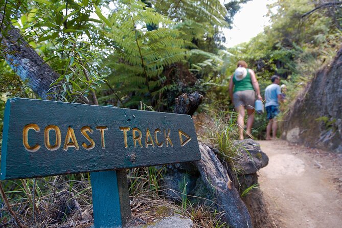 Kayak & Pitt Head Nature Loop - Guided Kayak & Unguided Walk - New Zealand - What to bring for a coast day (so you stay comfortable)