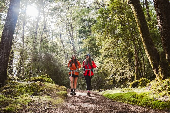 Kepler Track Water Taxi - Finding Fiordland Outdoors in Te Anau (and Why Timing Still Matters)