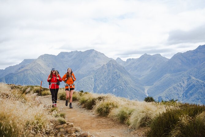 Kepler Track Water Taxi - Limestone Bluffs Walk vs. Luxmore Climb