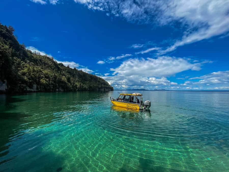 Kinloch: Lake Taupo Catamaran Cruise with Paddleboarding - Taxicat Adventures meeting point, plus what to bring on the water