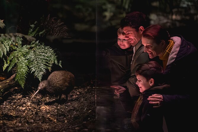 Kiwi Park Queenstown Admission - Kiwi Park in Queenstown: a small-city wildlife escape