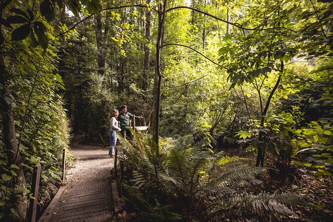 Kiwi Park Queenstown Admission - Kiwi viewing in the nocturnal house: why it feels like real kiwi spotting