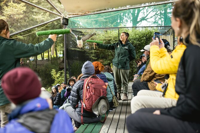 Kiwi Park Queenstown Admission - The New Zealand Conservation Show: birds that fly free in netted space